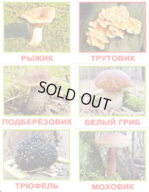画像2: ロシア・森のきのこカード20種類