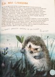 画像4: ロシア図鑑絵本・「はりねずみ」ソフトカバー版
