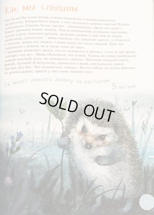 画像4: ロシア図鑑絵本・「はりねずみ」ソフトカバー版