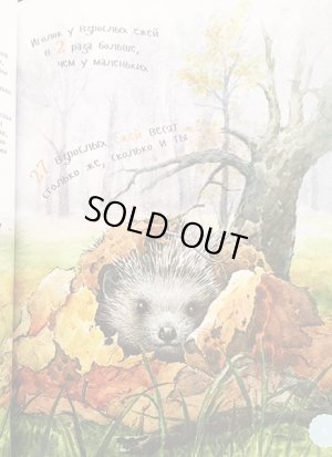 画像5: ロシア図鑑絵本・「はりねずみ」ソフトカバー版