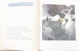 画像3: ロシア絵本・「白鳥の湖」（日本語） (3)