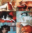 画像2: マリヤ・パブロワ画「猫ポストカード12枚組」 (2)