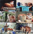 画像3: マリヤ・パブロワ画「猫ポストカード12枚組」 (3)
