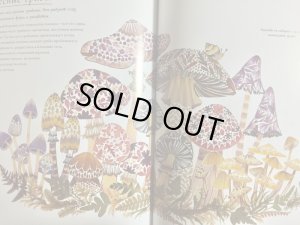 画像5: 押し花アート絵本「森の１年」