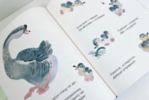 画像3: チャルーシン『鴨っこちゃんのお話』