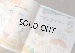 画像2: 『きのこー驚くべき、知られざる事実図鑑』