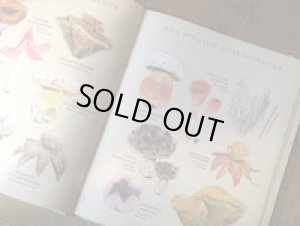 画像8: 『きのこー驚くべき、知られざる事実図鑑』