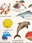 画像4: ロシア絵本「動物図鑑1000」