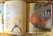 画像4: ロシア絵本・オレイニコフ画「みんな、走り、飛び、跳ぶ」